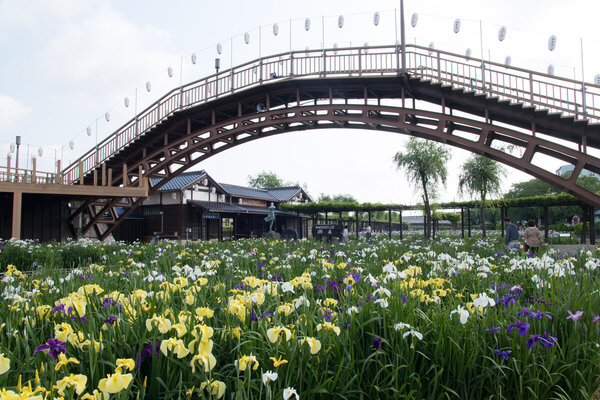 潮来の風景