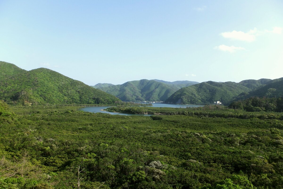 奄美大島の風景