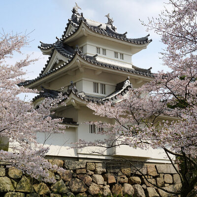 津の風景