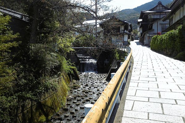 青木の風景