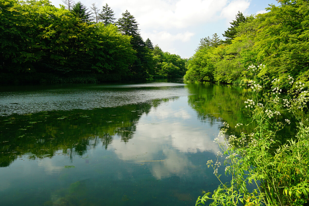 軽井沢の風景