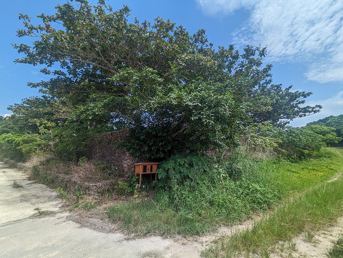 竹富の風景