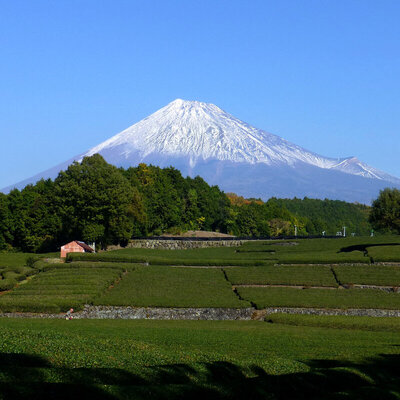 富士の風景