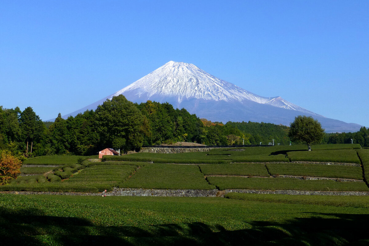 浜松の風景