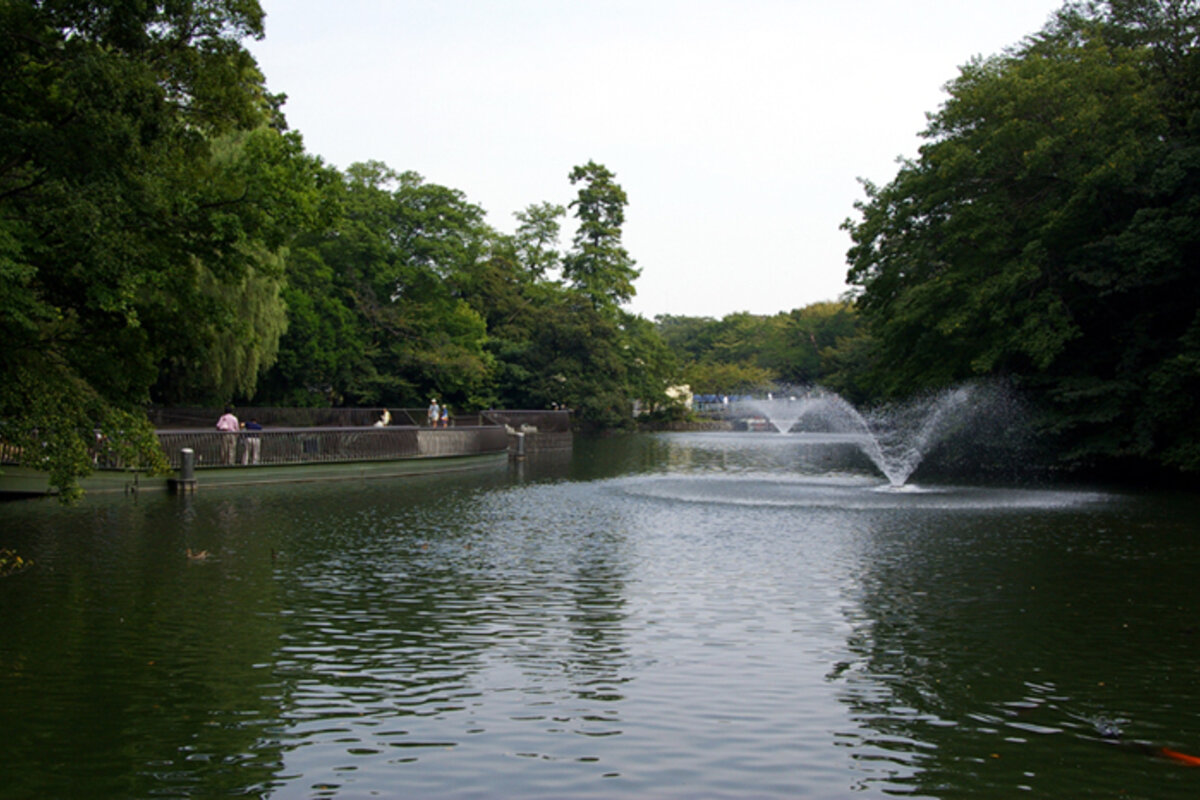 武蔵野の風景