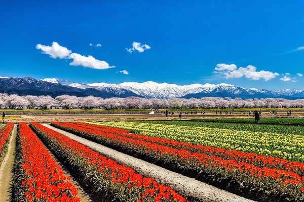 朝日の風景