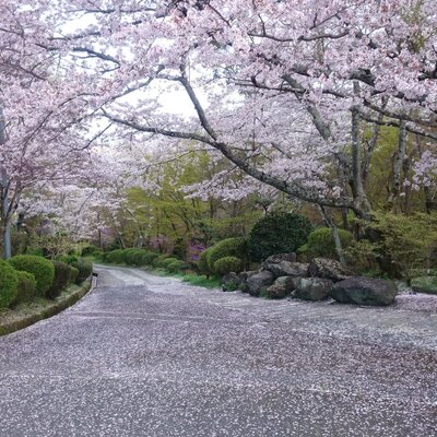 橋本の風景