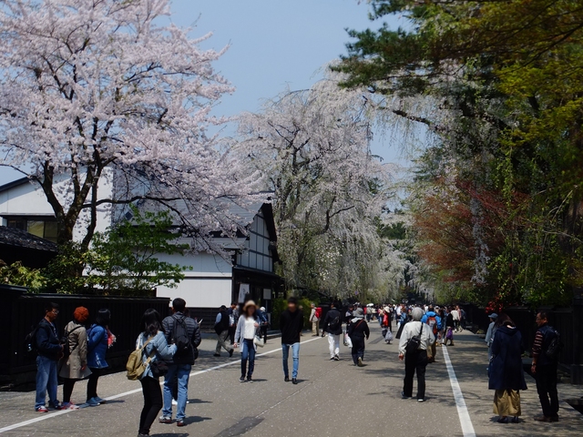 田沢湖